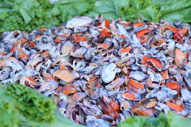 Crujientes Mejillones Fritos Con Huevo