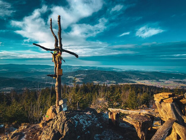 Foto cruz da cimeira da natureza