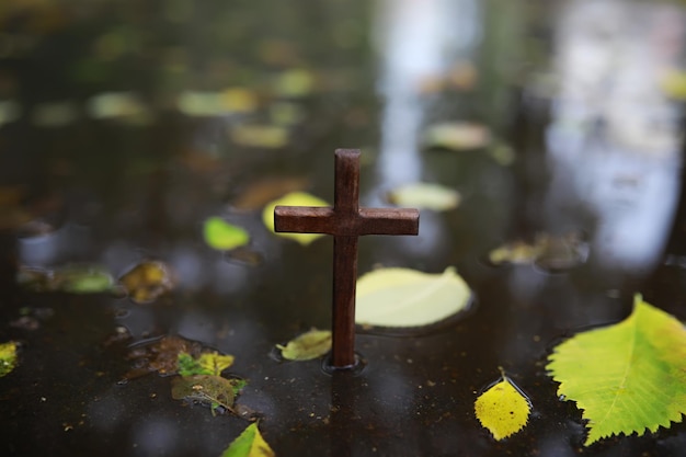 La cruz de Dios en los rayos del sol Antecedentes de las religiones