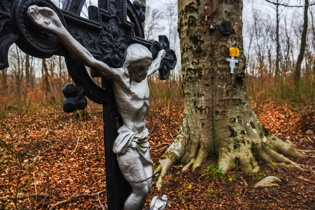 Cruz velha com jesus em um lugar em uma floresta durante a caminhada