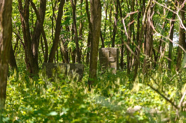 Cruzes de pedra antigas do cemitério cossaco em trakhtemirov