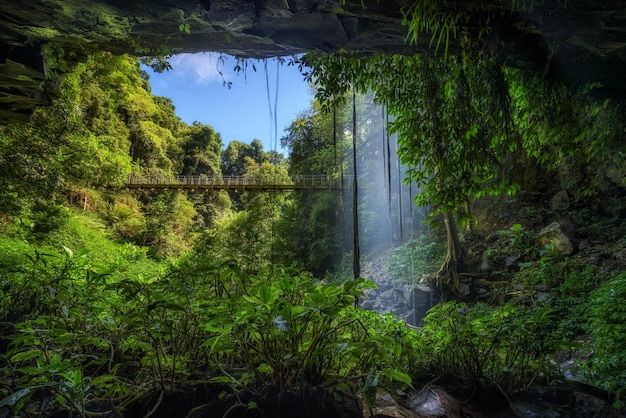 Crystal Falls en la selva tropical del Parque Nacional Dorrigo