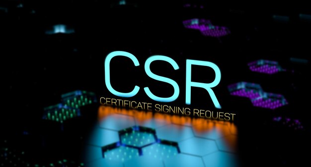 CSR Certificado Firma Solicitud definición palabra acrónimo CSR neón banner 3D render