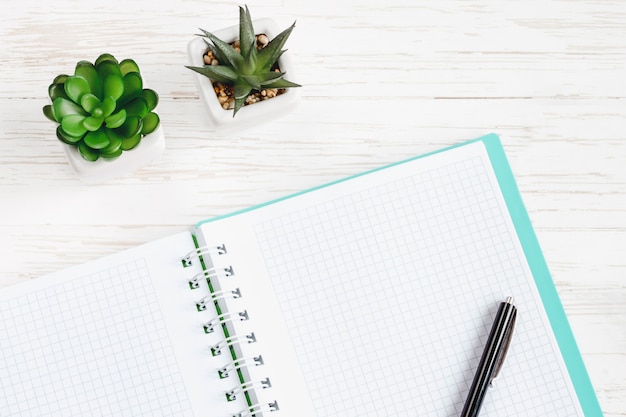 Cuaderno abierto, bolígrafo, plantas suculentas en una mesa de madera blanca, plano, vista superior. Escritorio de mesa de oficina, espacio de copia de lugar de trabajo