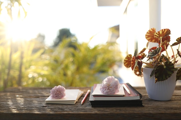 Cuaderno de begonia y rosas rosadas sobre una mesa de madera con luz natural