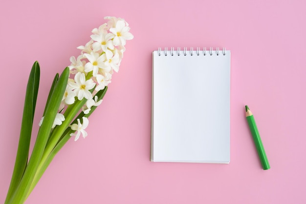 Cuaderno blanco con flor de primavera blanca y lápiz verde sobre espacio de mesa rosa para texto Día de la mujer