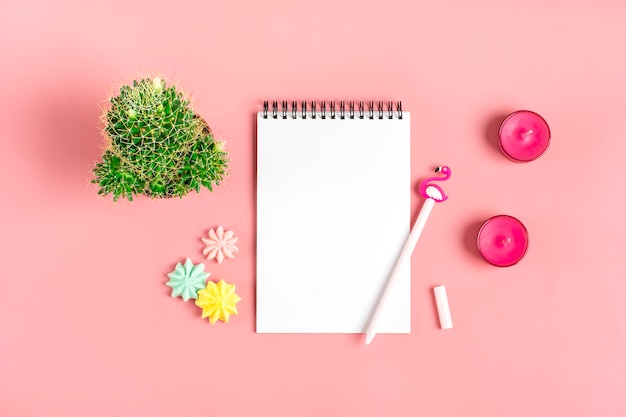 Cuaderno blanco para notas, merengue, bolígrafo - flamenco, flor de la casa suculenta sobre fondo rosa