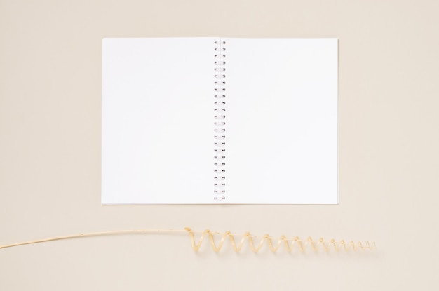 Un cuaderno blanco y una rama decorativa de una vid seca Fondo beige Espacio de copia