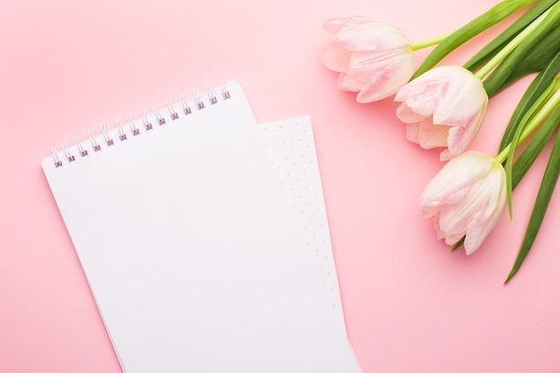 Cuaderno blanco y tulipanes rosas de flores de primavera sobre el rosa