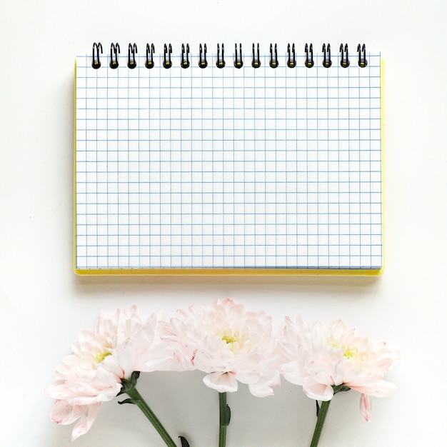 cuaderno a cuadros y tres crisantemos de color rosa pálido