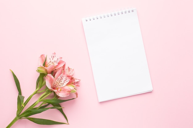 Cuaderno y flor Alstroemeria en rosa