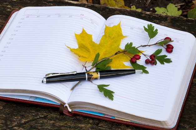 Foto cuaderno con hojas amarillas y frutos rojos