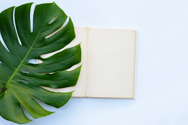 Cuaderno con hojas verdes sobre blanco