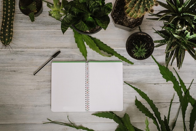 Un cuaderno de papel abierto en blanco y un bolígrafo con muchas plantas en maceta en el fondo de madera blanca. Espacio de copia plana