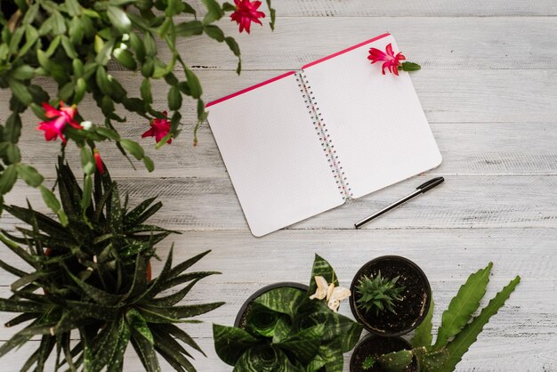 Un cuaderno de papel abierto en blanco y un bolígrafo con muchas plantas en maceta en el fondo de madera blanca. Espacio de copia plana