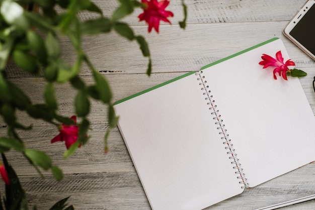 Cuaderno de papel abierto con páginas en blanco y teléfono inteligente entre muchas plantas en el fondo de madera blanca. Copie el espacio, flatlay