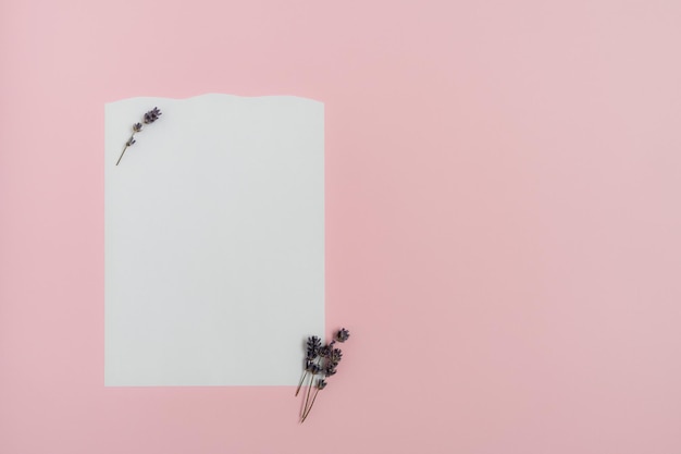 Un cuaderno con papel blanco y flores de lavanda sobre un fondo rosa Una nota