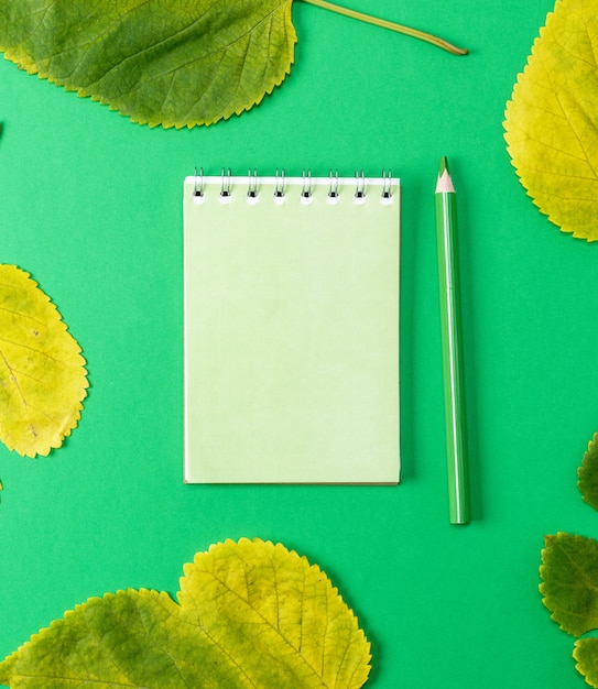 Foto cuaderno sobre un fondo verde