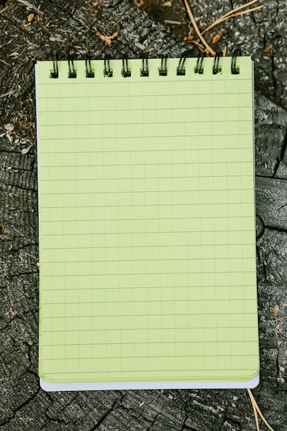 Cuaderno tirado en un tocón de madera en el bosque