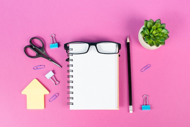 Cuaderno vacío con un bolígrafo, anteojos y un cactus en un escritorio de color rosa, lluvia de ideas