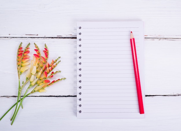 Cuaderno vacío en una línea y un lápiz rojo