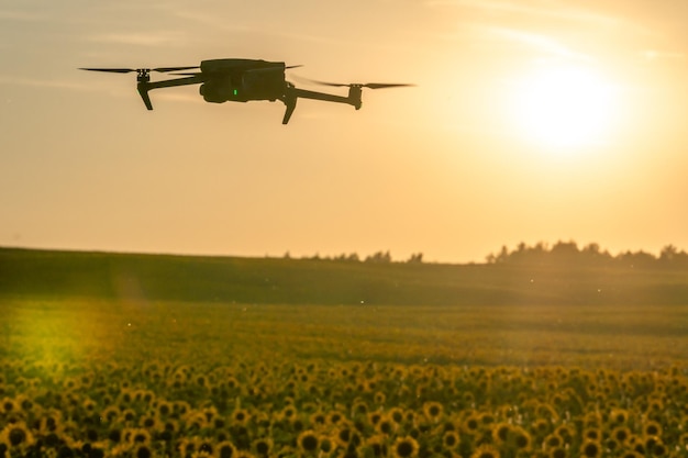 Un cuadricóptero moderno vuela sobre un campo de girasoles contra la puesta de sol El uso de tecnologías modernas en el complejo agroindustrial El dron ayuda al agricultor en la agroindustria