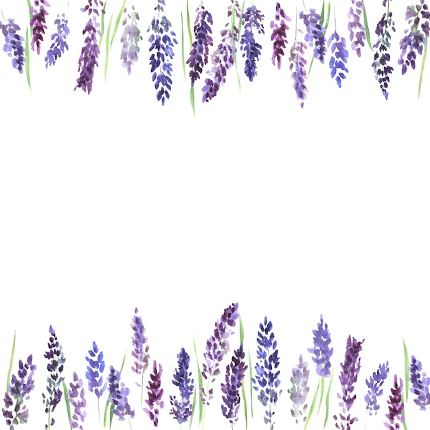 Cuadro acuarela con flores de lavanda Flores de lavanda lila