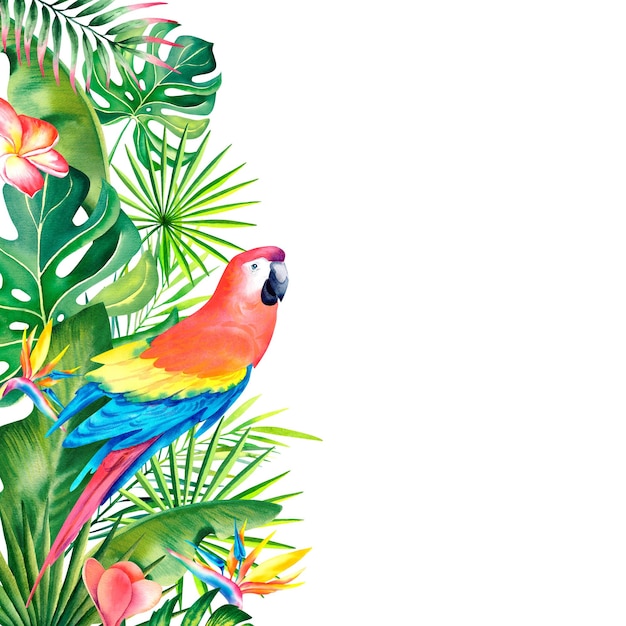 Cuadro de borde de acuarela de hojas tropicales strelitzia plumeria y guacamayo rojo Plantas y aves tropicales pintadas a mano Clipart una plantilla para una tarjeta postal