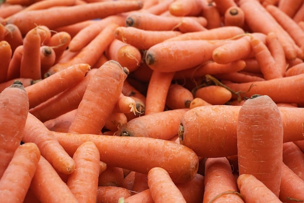 Foto el cuadro completo de zanahorias