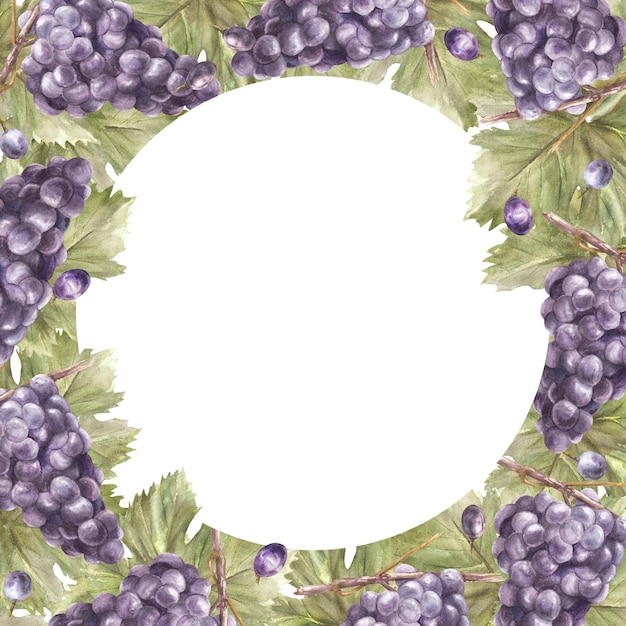 Cuadro cuadrado de acuarela ramo de hojas de uvas azules y bayas etiqueta de uva pintada a mano