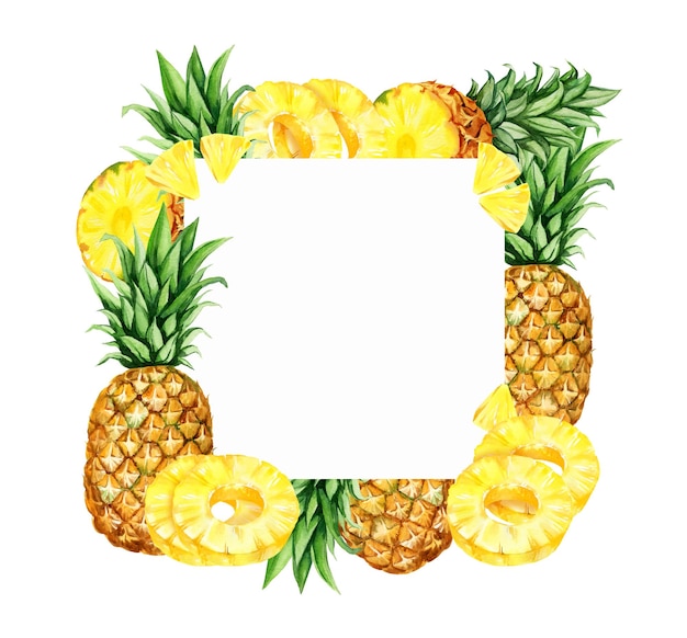 cuadro cuadrado dibujado a mano con acuarela con ilustración de piña con mitad y rebanadas de frutas