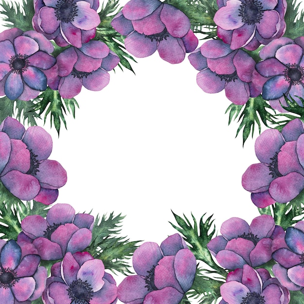 cuadro cuadrado de flores de anémona en colores púrpura brillante dibujo a mano acuarela ilustración floral plantilla botánica con espacio para texto para invitaciones de cumpleaños de aniversario de boda.