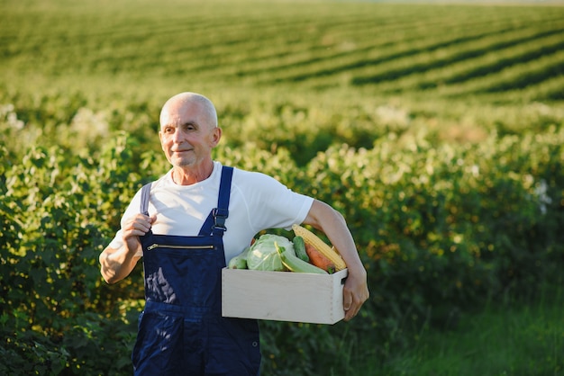 Cuadro elevador de hombre senior lleno de verduras de temporada