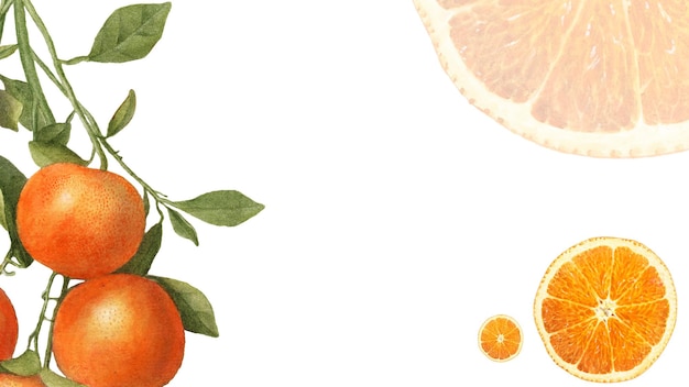 Cuadro de naranja natural fresco dibujado a mano