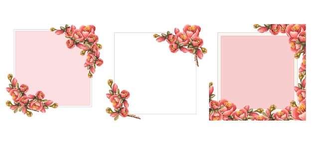 Cuadro de tarjetas pintado en acuarela conjunto de flores de primavera brotes hojas de quince manzana rama de pera japonesa de