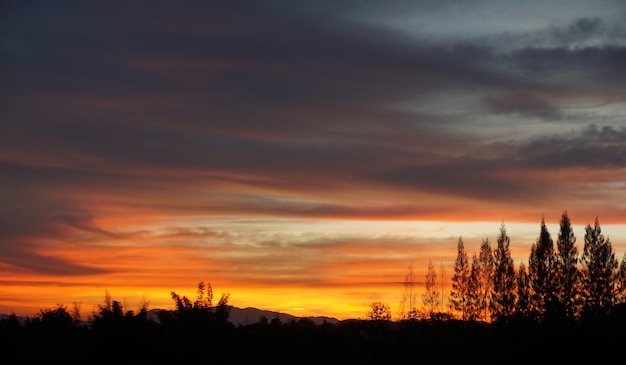 Foto cuando el cielo está dorado después del atardecer