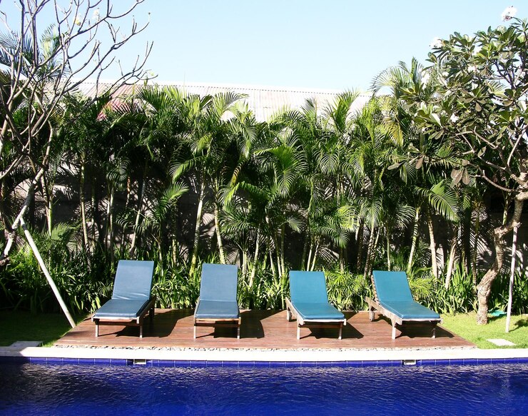 Cuatro sillas y colchones azules en un lado de la piscina con palmeras en el fondo