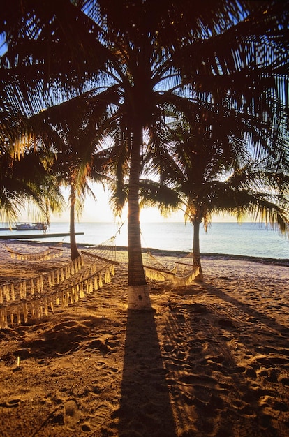 CUBA Mar do Caribe Maria La Gorda vista da praia com palmeiras