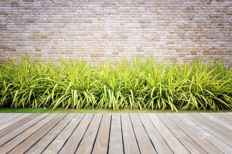 Cubierta de madera o piso y planta en jardín decorativo
