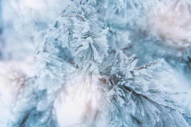 Cubierta navideña azul áspera con muchos copos de nieve