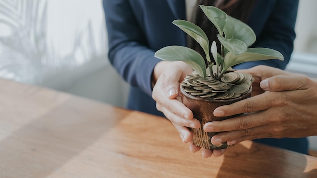 Foto cubierta de negocio planta en crecimiento con concepto de dinero de moneda crecimiento de dinero y árbol pequeño