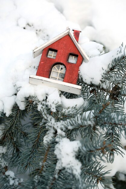 Cubierto de nieve y decoración navideña rama de abeto, al aire libre