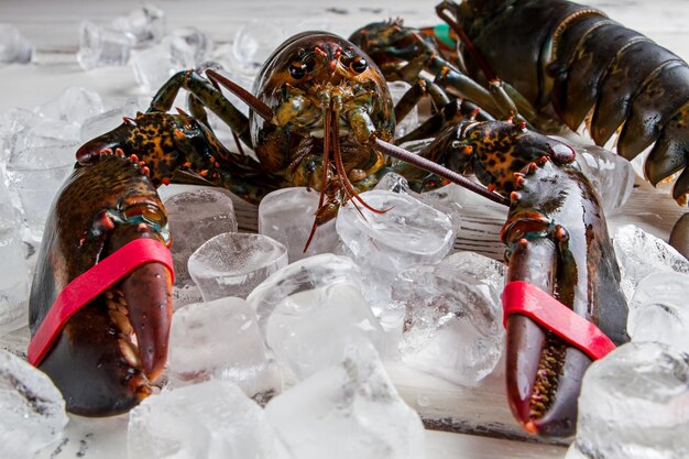 Cubitos de hielo cerca de langosta cruda. Vista frontal de langosta fresca. Ingrediente clave de una comida salada. Ejemplo de crustáceos marinos.