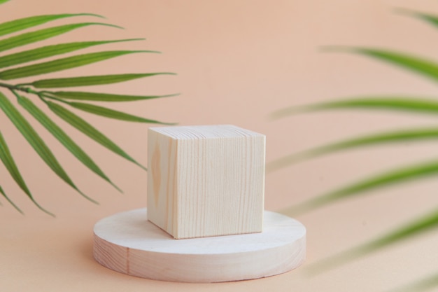 cubo de formas geométricas de madeira e cena de pódio de círculo para palma de fundo bege de produtos cosméticos