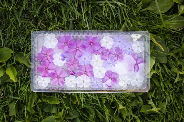 Cubo de gelo com flores na grama verde no verão.