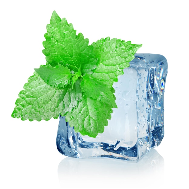Cubo de gelo e hortelã isolados em um fundo branco
