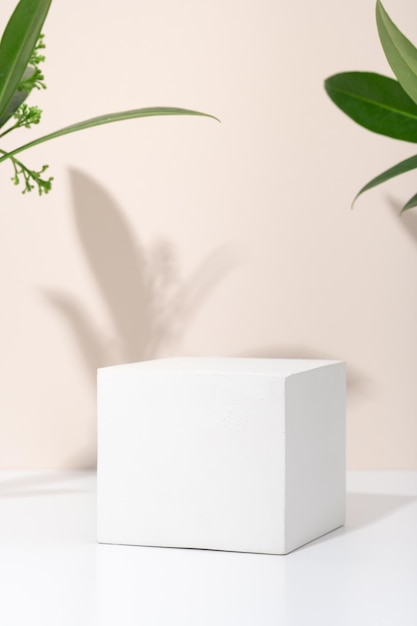 Cubo de gesso poroso branco para produtos cosméticos de pódio em fundo bege com folhas verdes ecológicas