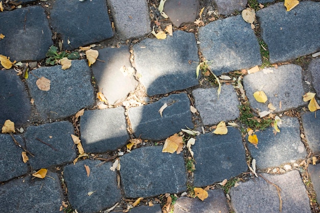 Cubo de pedra na passarela na cidade de Ladenburg em Badenwurttemberg Alemanha