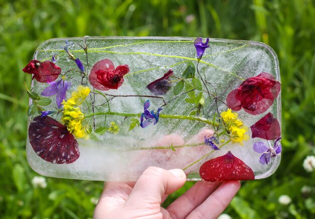 Cubo de hielo con diferentes flores de verano sobre la hierba verde en verano.