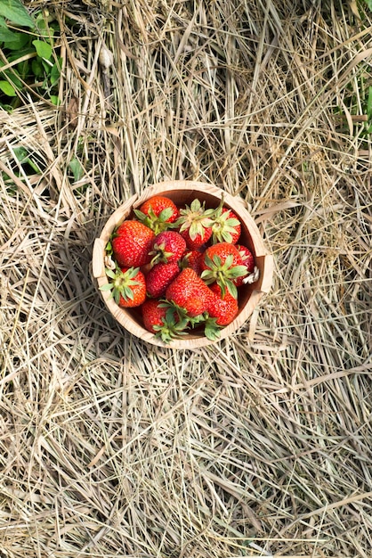 El cubo de madera lleno con fresas está parado en el espacio de copia de la vista superior de paja